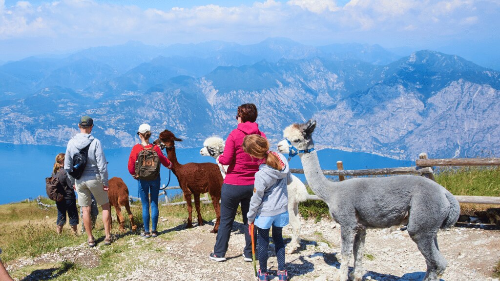 Monte Baldo
